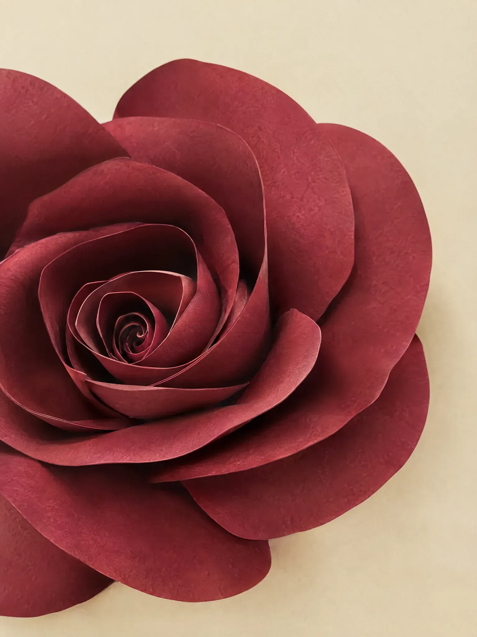 Petal Study